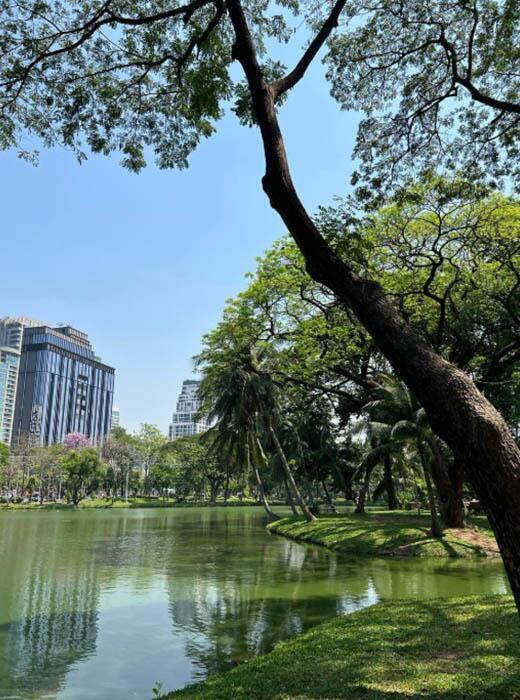 Bangkok Premium