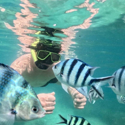 Sea Discovery Koh Talu