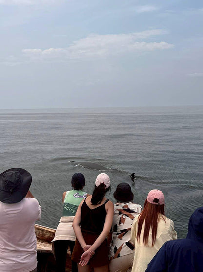Encounter with Bryde’s Whales