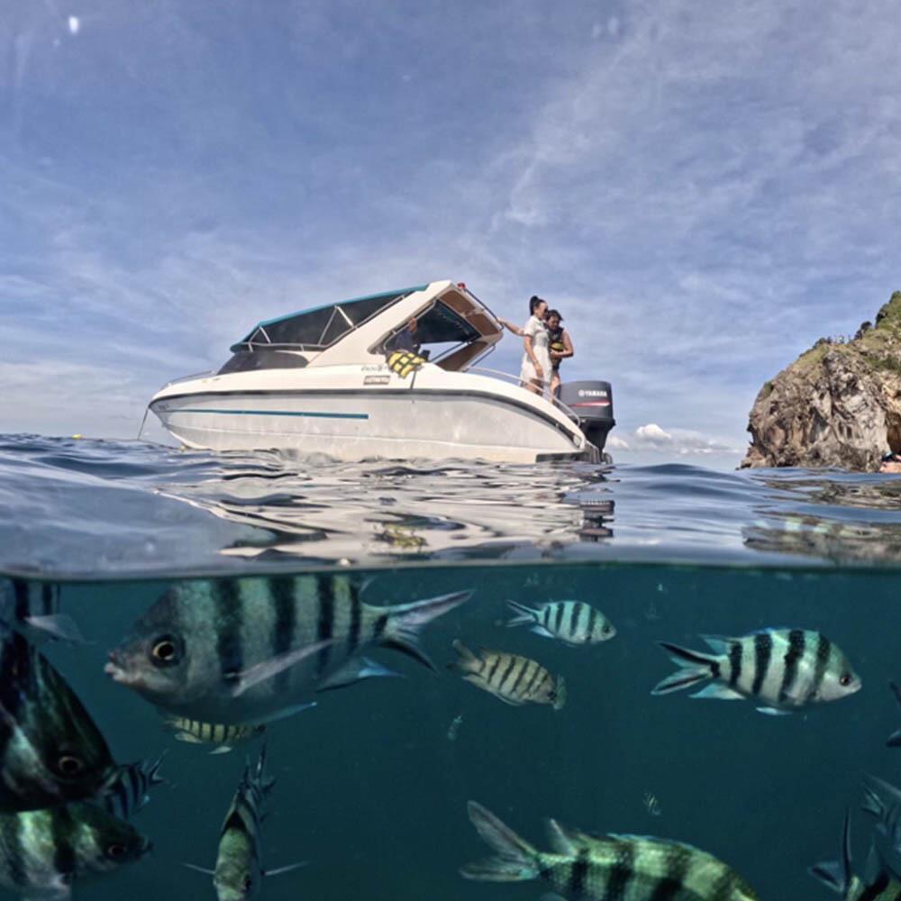 Sea Discovery Koh Talu