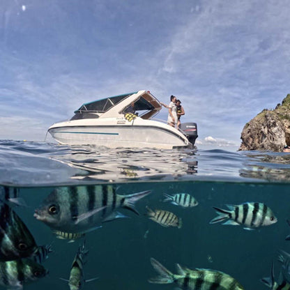 Sea Discovery Koh Talu