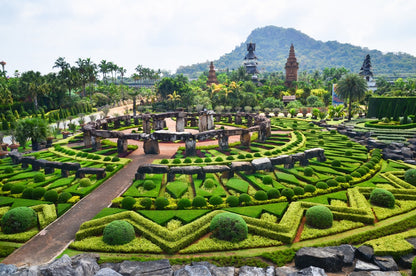 Nong Nooch + Show
