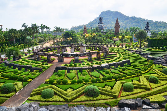 Nong Nooch + Show