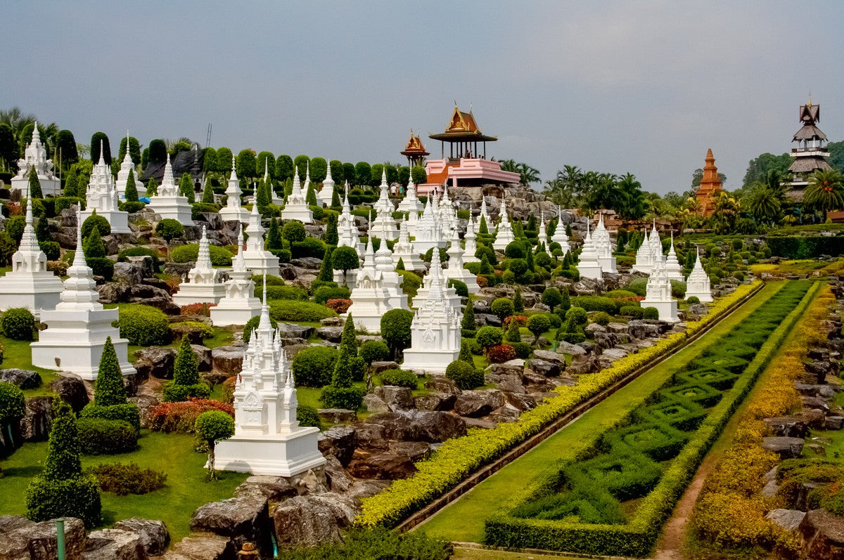 Nong Nooch + Show