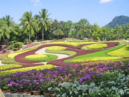 Nong Nooch + Show