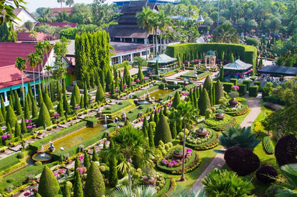 Nong Nooch + Show