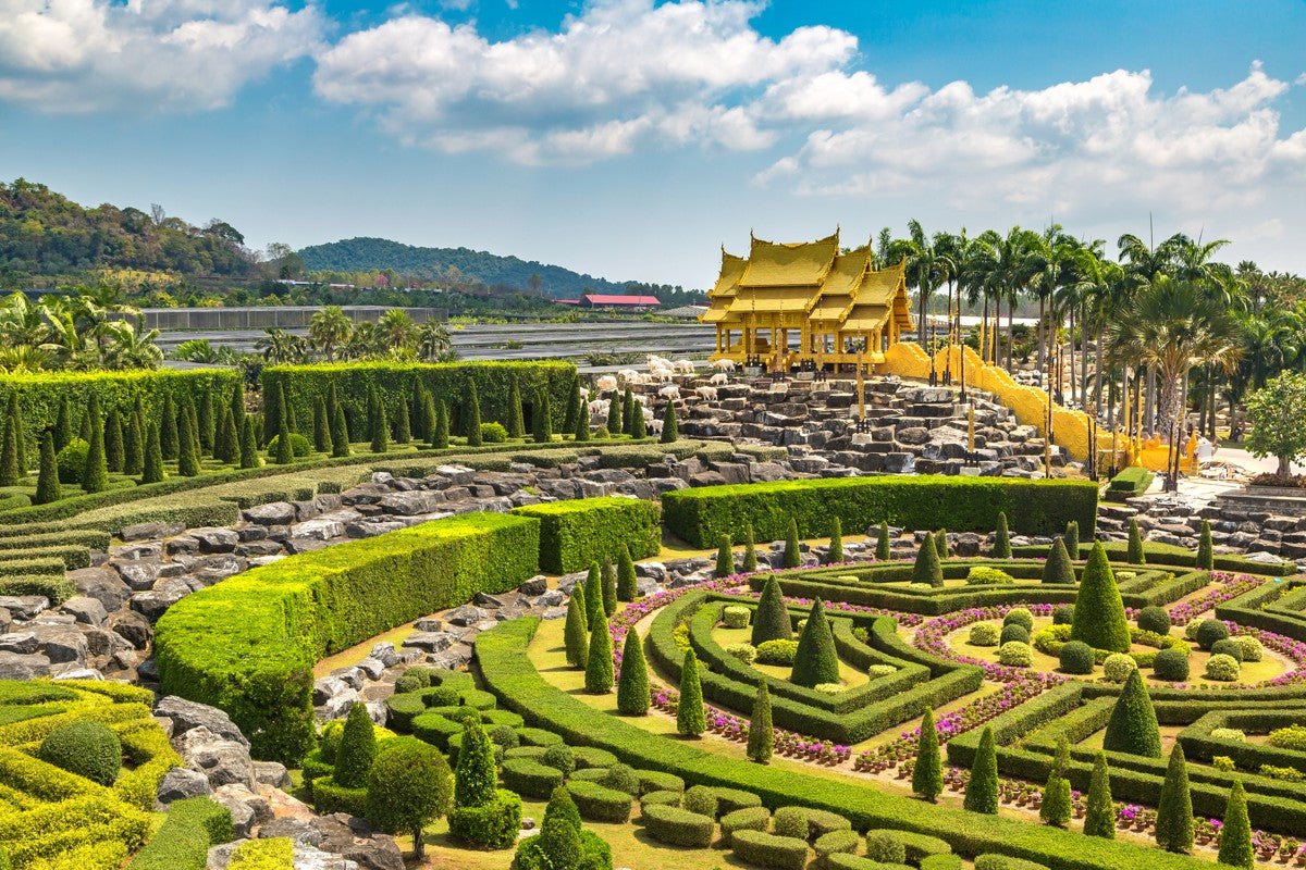 Nong Nooch + Show