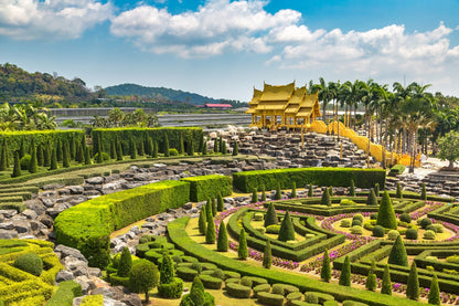 Nong Nooch + Show