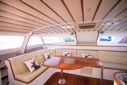 42-feet motor catamaran MC042