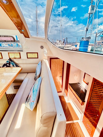 40-feet sailing catamaran SC040