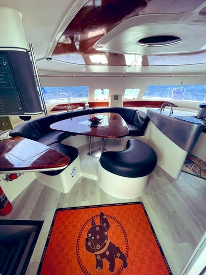 46-feet sailing catamaran SC046