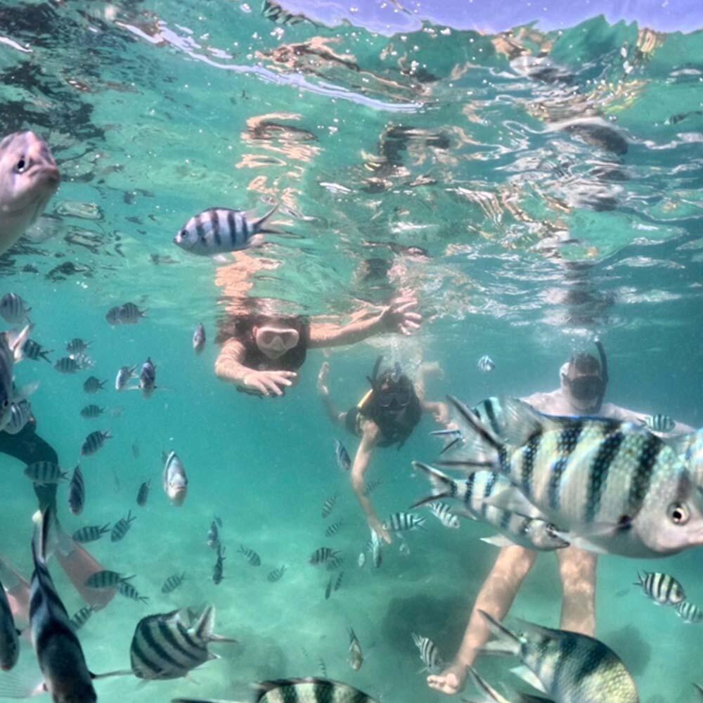 Sea Discovery Koh Talu