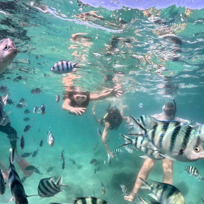 Sea Discovery Koh Talu