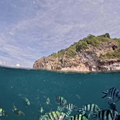 Sea Discovery Koh Talu