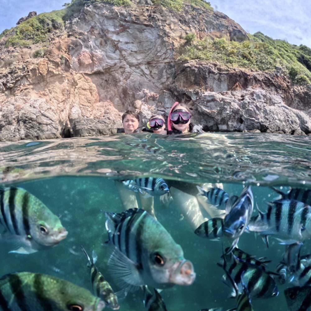 Sea Discovery Koh Talu