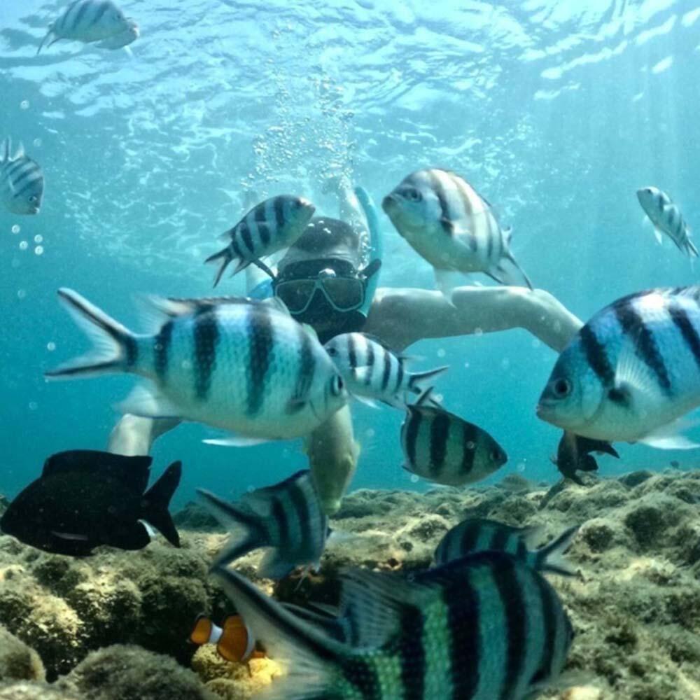 Sea Discovery Koh Talu